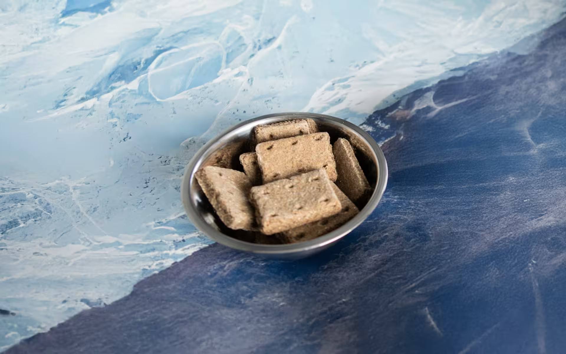 Mighty Mix – Family Dog Biscuits